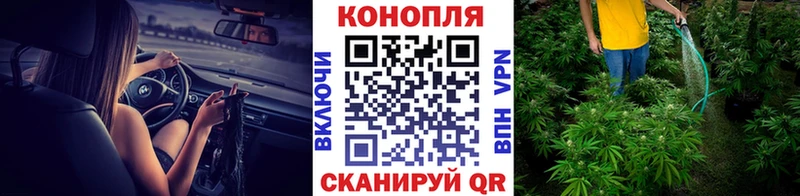Марихуана THC 21%  Кудрово 